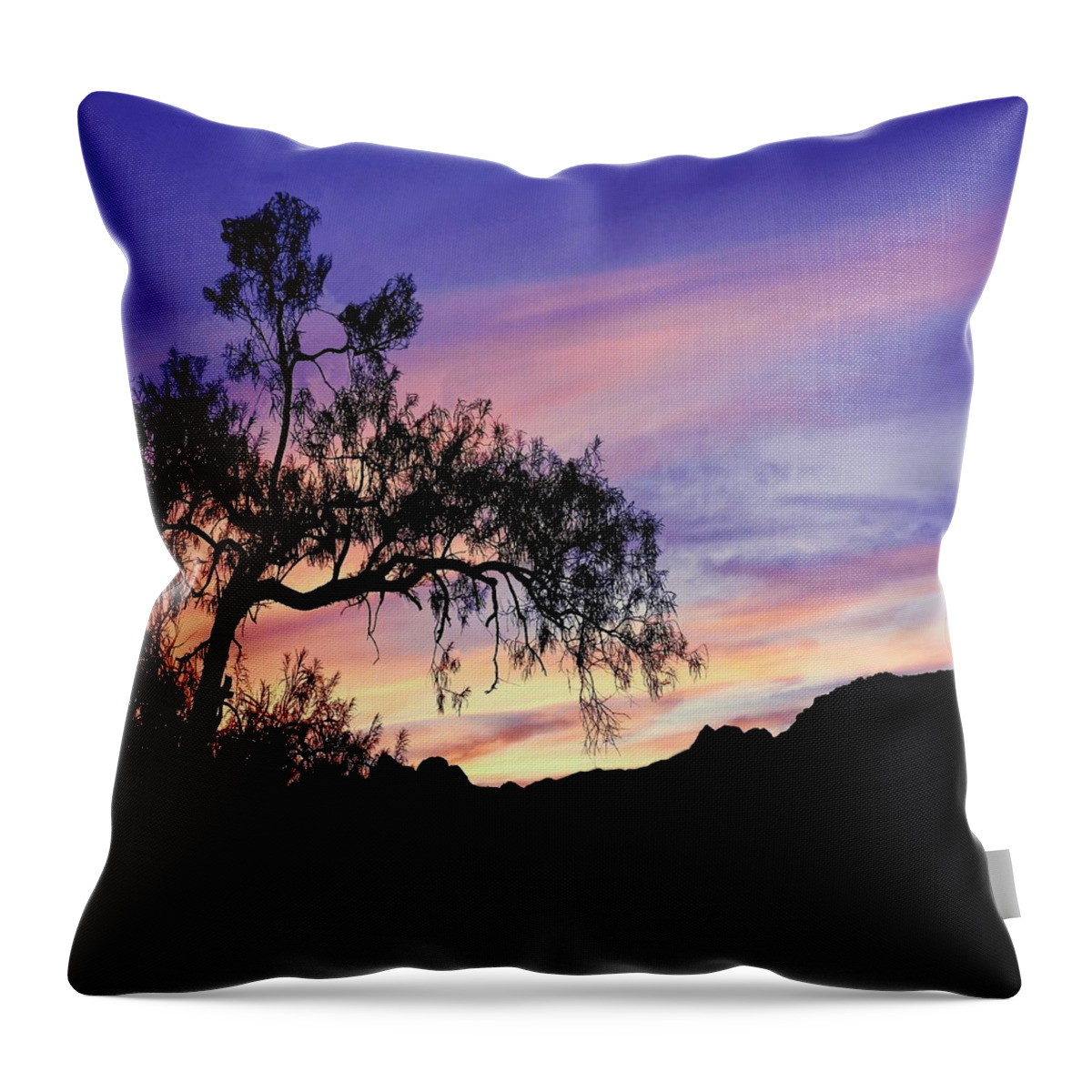 Desert Throw Pillow featuring the photograph Desert Tree at Twilight by Beth Myer Photography