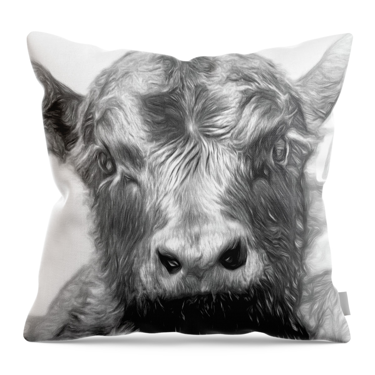 2019 April Throw Pillow featuring the photograph Black Angus Calf Portrait by Bill Kesler