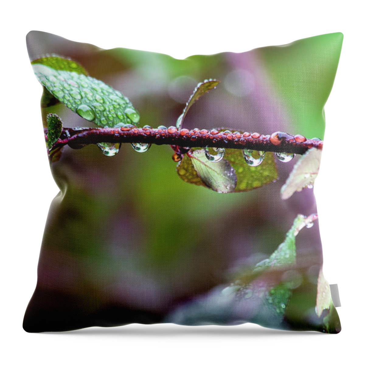 2018 June Throw Pillow featuring the photograph Dewdrop Adornment by Bill Kesler