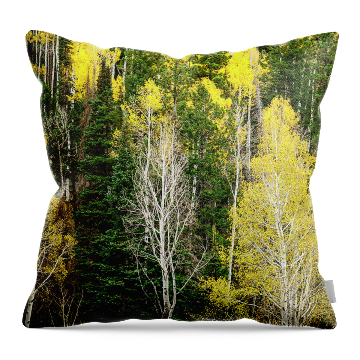 Scenics Throw Pillow featuring the photograph Aspens And Evergreens, North Rim, Grand by Eric R. Hinson