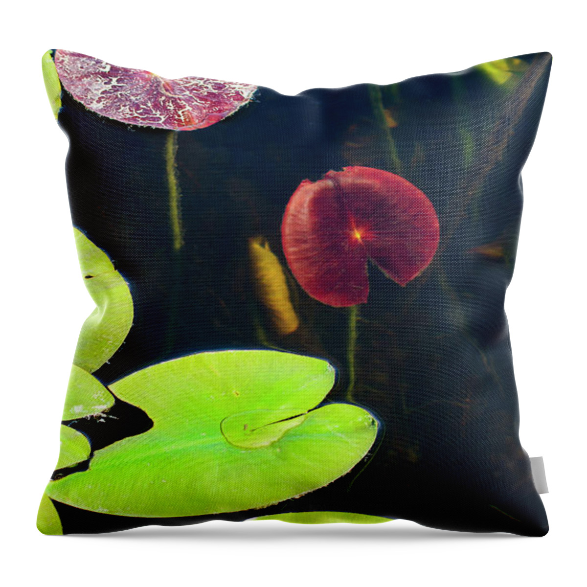 Assorted Lily Leaves Throw Pillow featuring the photograph Assorted Water Lily Leaves by James Canning