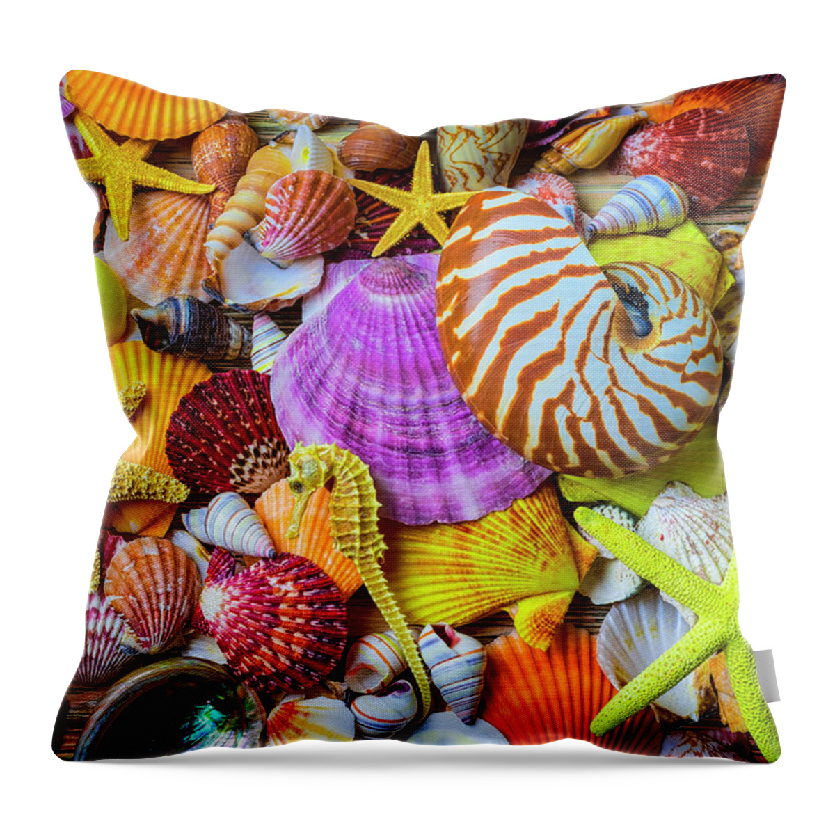 Exotic Throw Pillow featuring the photograph Assortment of Beautiful Seashells by Garry Gay