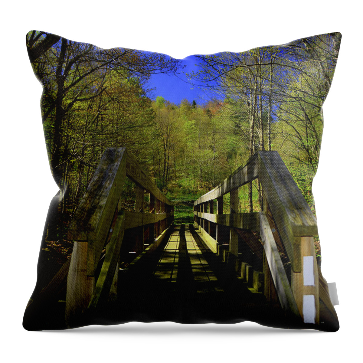 At Crosses Vt's Stoney Brook Horizontal Throw Pillow featuring the photograph AT Crosses VT's Stoney Brook Horizontal by Raymond Salani III