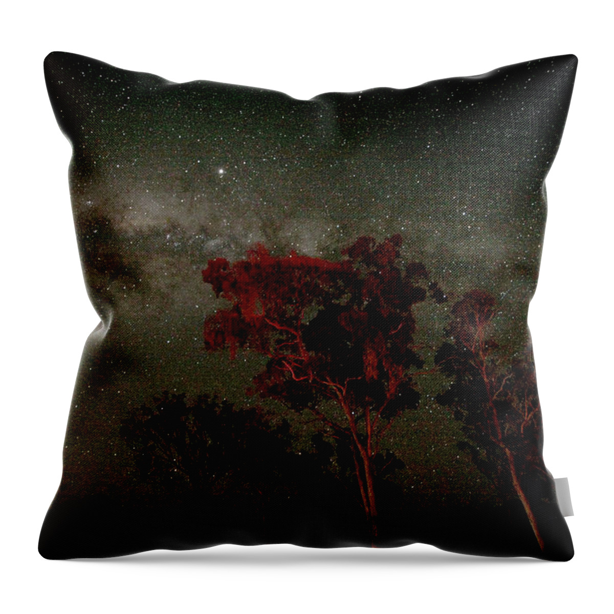 Galaxy Throw Pillow featuring the photograph Australian Night by Paco Alcantara