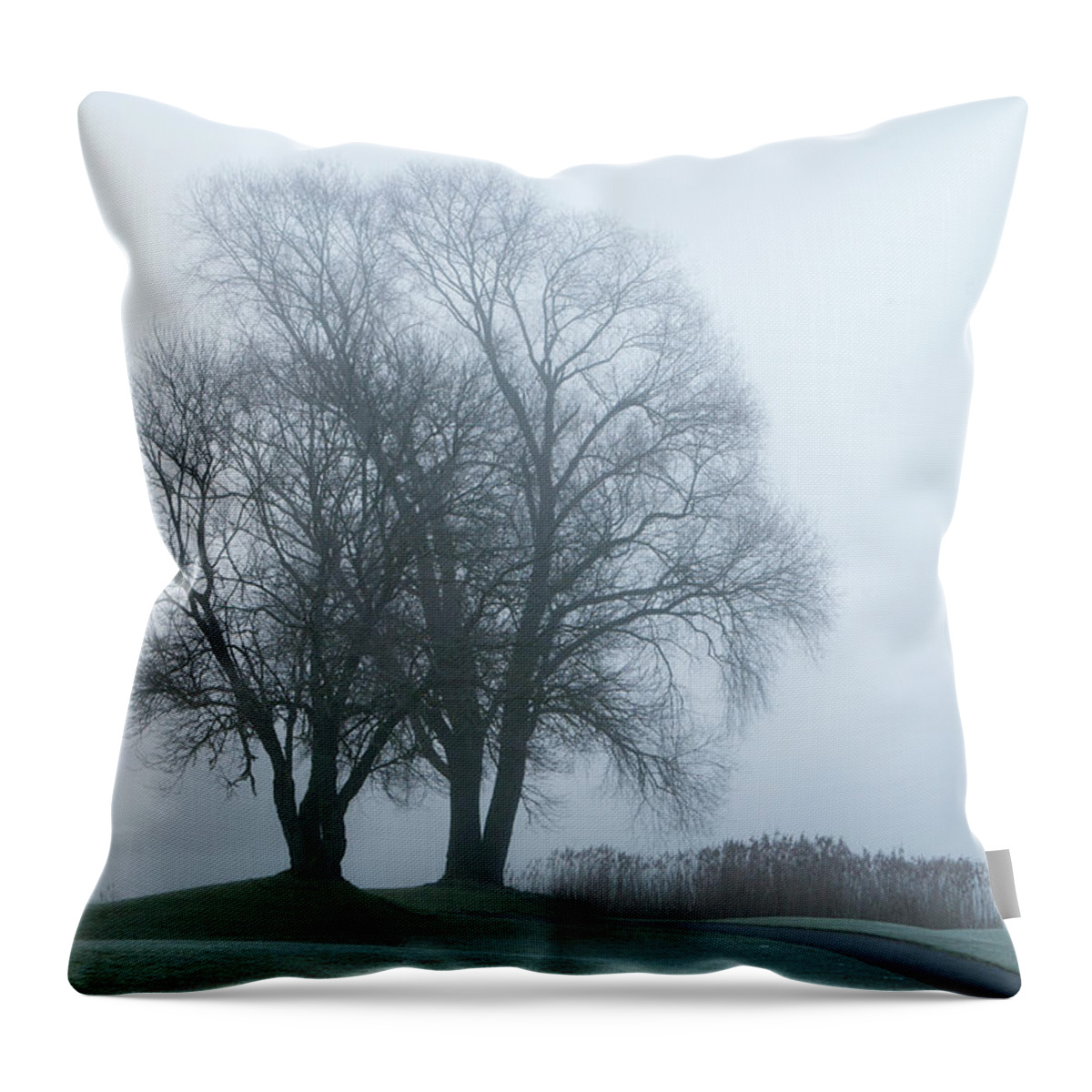 Tranquility Throw Pillow featuring the photograph Austria, View Of Trees With Reed In by Westend61