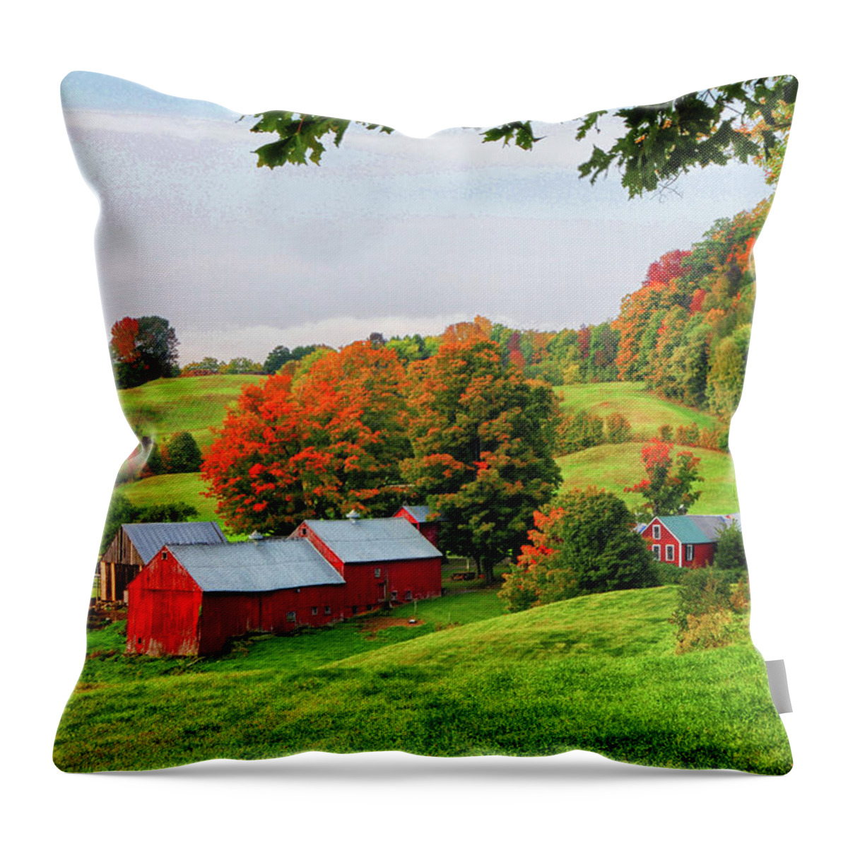 Farm Throw Pillow featuring the photograph Autumn 2010 at Jenne Farm by Mike Martin