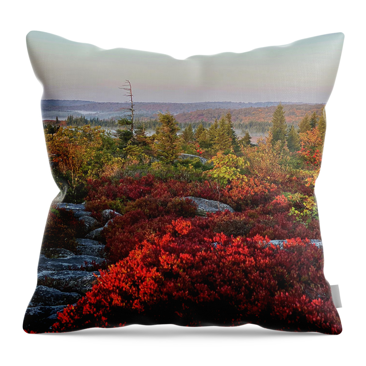 Dolly Sods Throw Pillow featuring the photograph Autumn at Dolly Sods by Lori Coleman