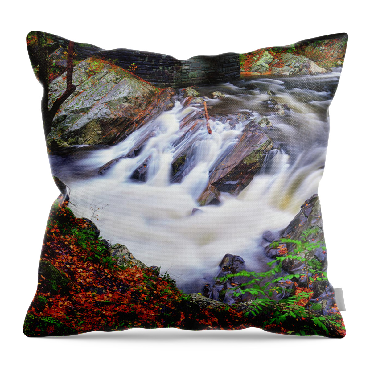 Great Smoky Mountains National Park Throw Pillow featuring the photograph Autumn at The Sinks by Greg Norrell