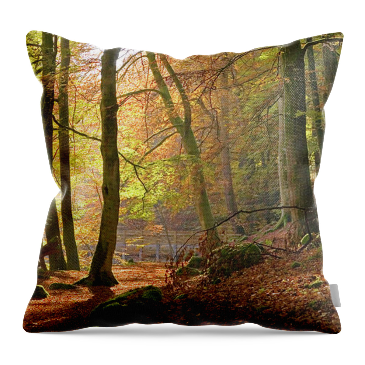 Scenics Throw Pillow featuring the photograph Autumn Beech Woods, Birks Oaberfeldy by Kathy Collins