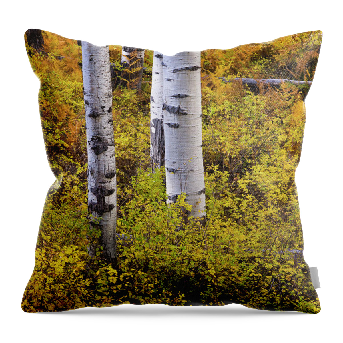America Throw Pillow featuring the photograph Autumn Contrasts by John De Bord