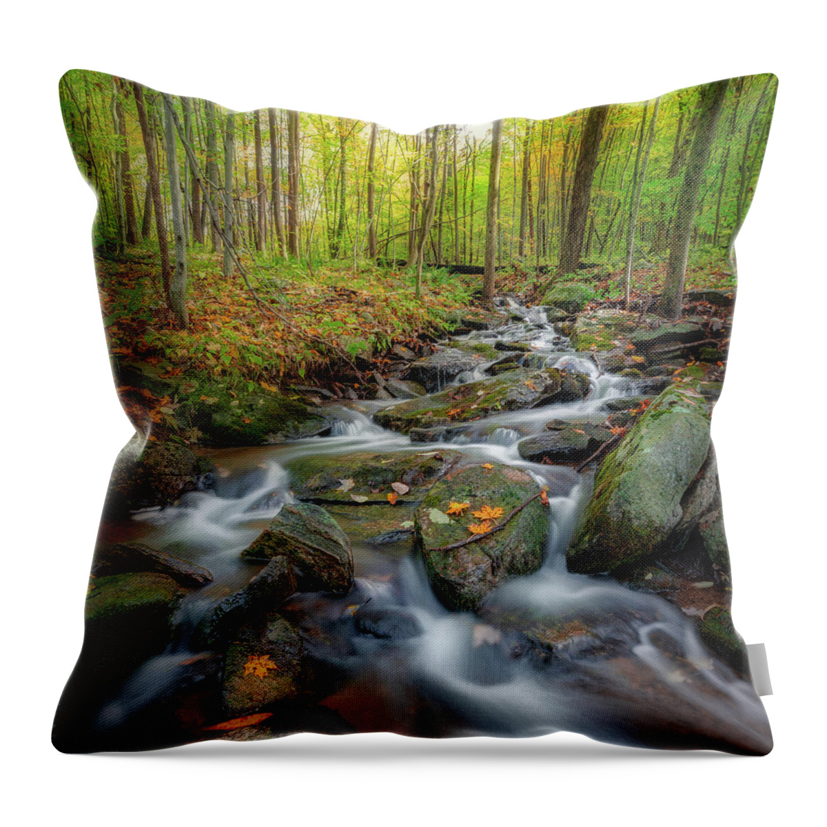 Square Throw Pillow featuring the photograph Autumn Falling 2 square by Bill Wakeley