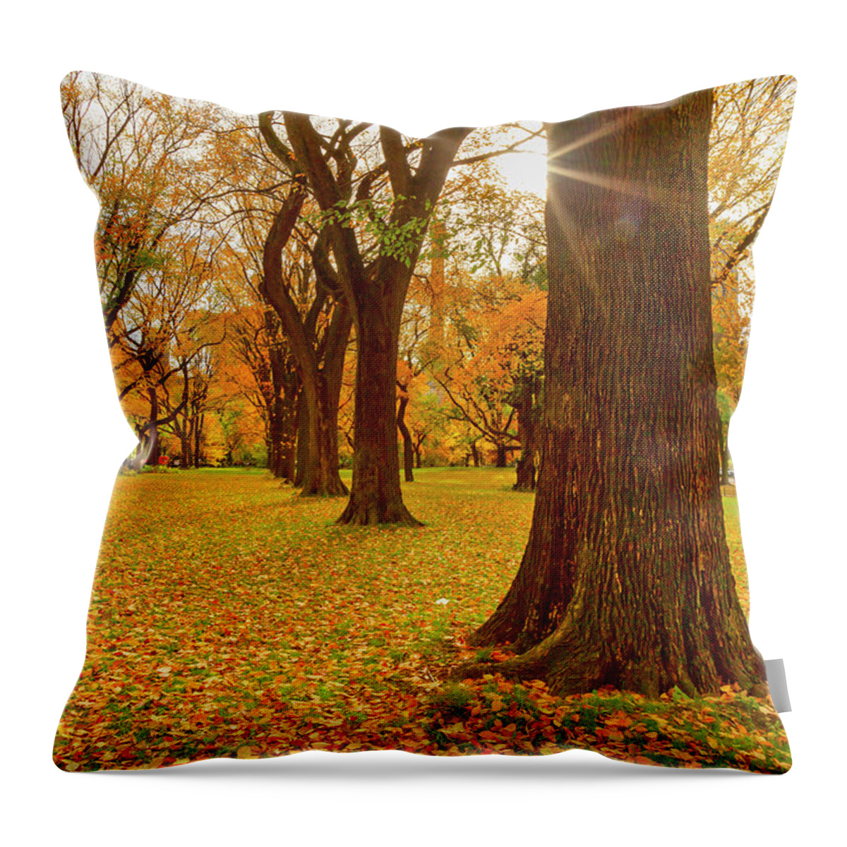 Estock Throw Pillow featuring the digital art Autumn In Central Park, Nyc by Claudia Uripos