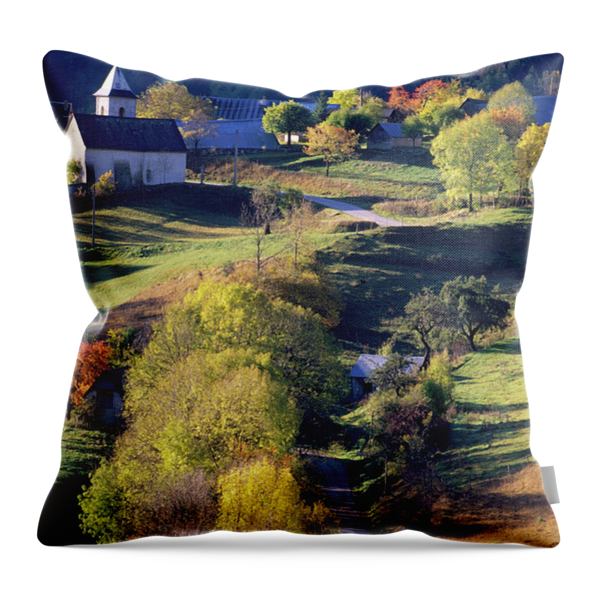Scenics Throw Pillow featuring the photograph Autumn In The Alps by Martial Colomb