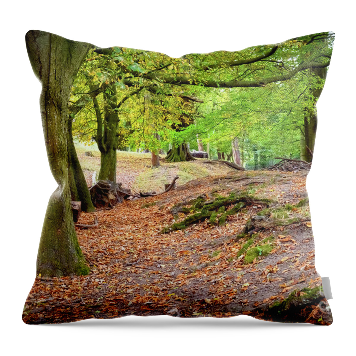 Autumn Throw Pillow featuring the photograph Autumn in the woods by Colin Rayner