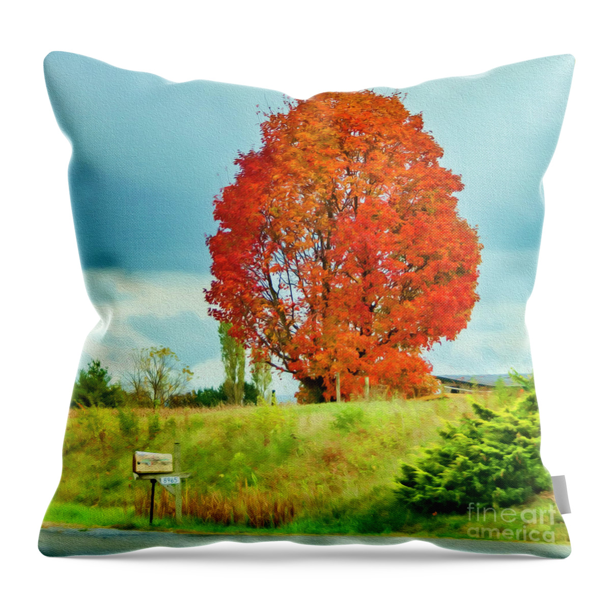 Virginia Throw Pillow featuring the photograph Autumn in Virginia by Lenore Locken