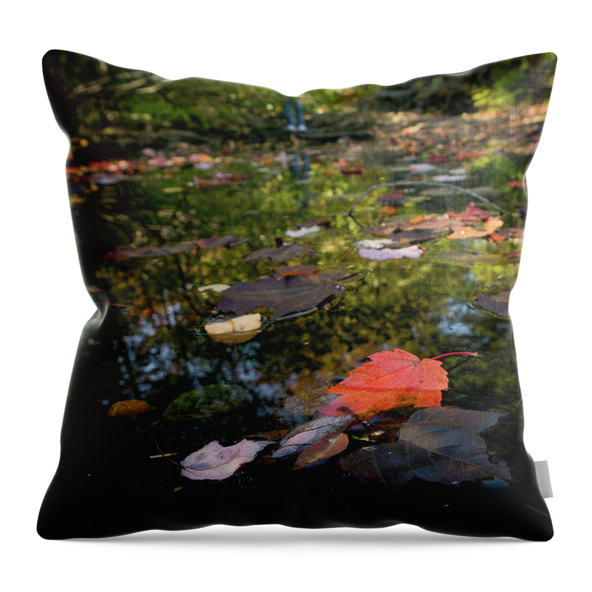 Autumn Throw Pillow featuring the photograph Autumn Leaf by Silvia Marcoschamer