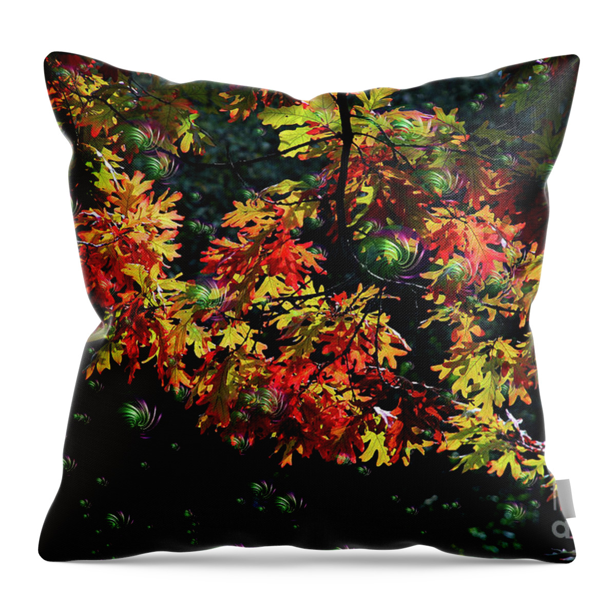 Trees Throw Pillow featuring the photograph Autumn Oak Magic by Elaine Manley