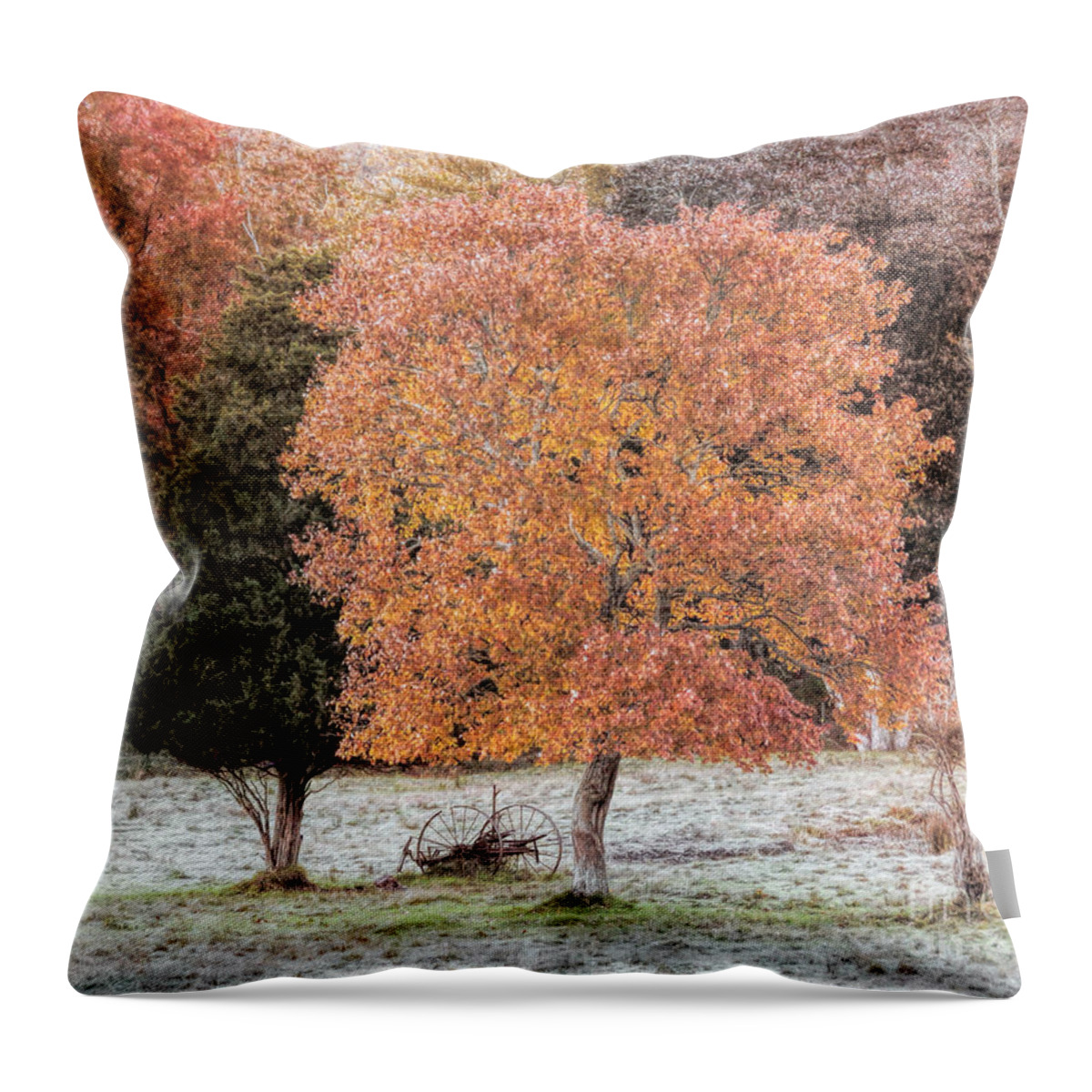 Autumn Throw Pillow featuring the photograph Autumn on the Farm MA by Janice Drew