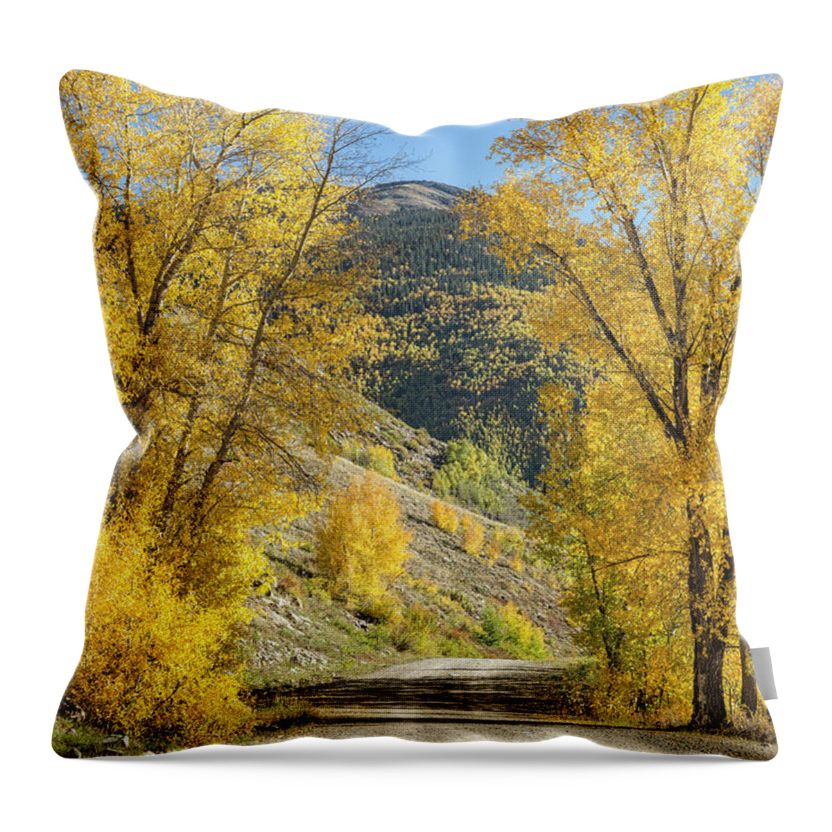 Colorado Throw Pillow featuring the photograph Autumn Passage by Denise Bush