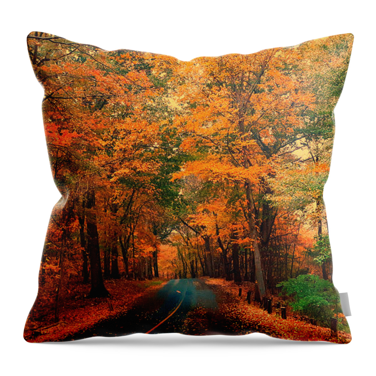 Foliage Throw Pillow featuring the photograph Autumn Rain by Dani McEvoy