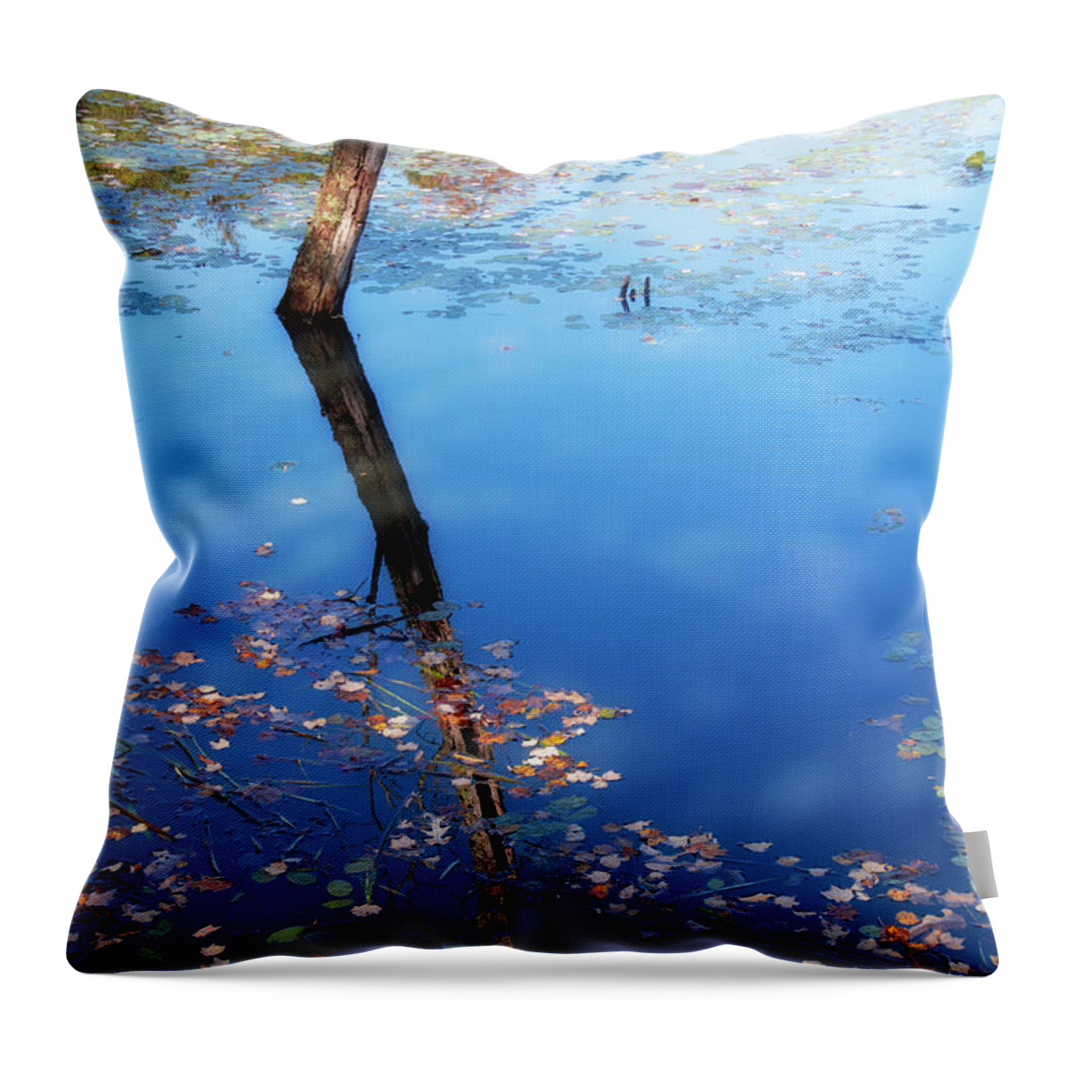Tree Throw Pillow featuring the photograph Autumn Reflection by Karen Smale