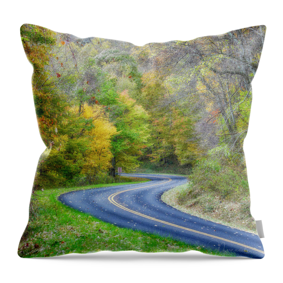 Blue Ridge Parkway Throw Pillow featuring the photograph Autumn Road 2 by Nunweiler Photography