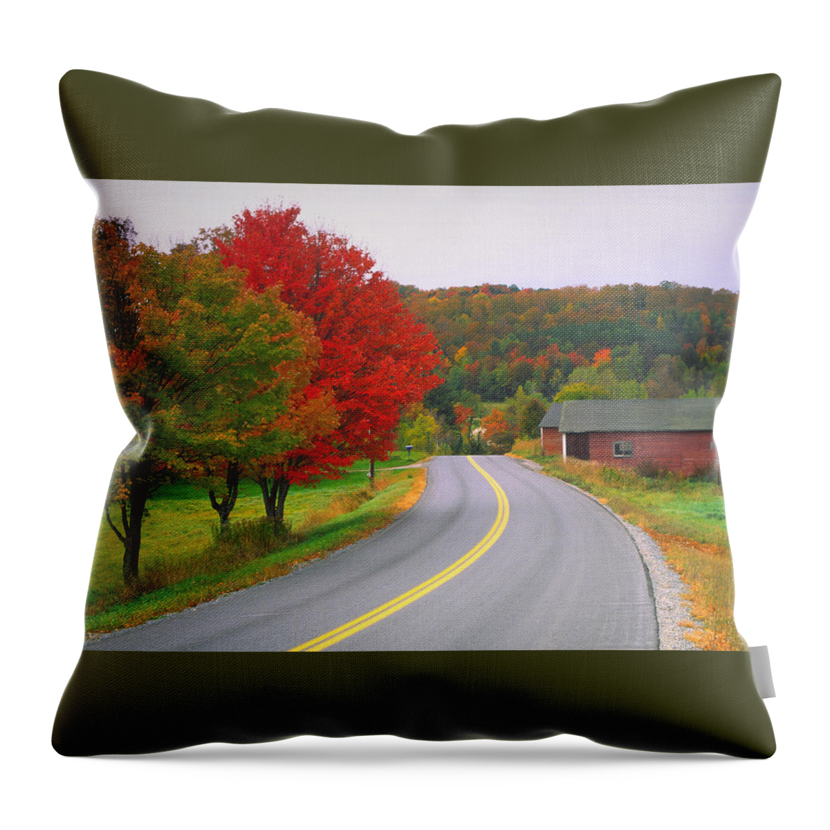 Scenics Throw Pillow featuring the photograph Autumn Road by Denistangneyjr