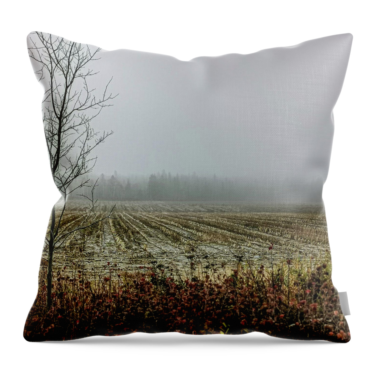 Field Throw Pillow featuring the photograph Autumn Scenery by Daniel Martin