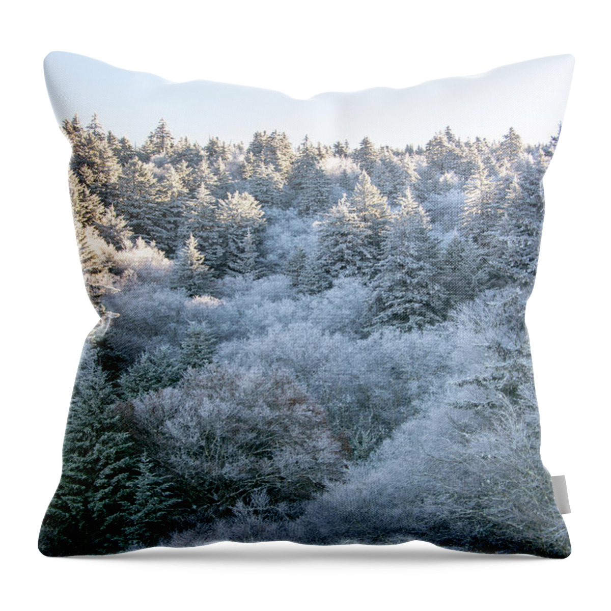 Blue Throw Pillow featuring the photograph Autumn Storm on the Blue Ridge Parkway by Douglas Wielfaert