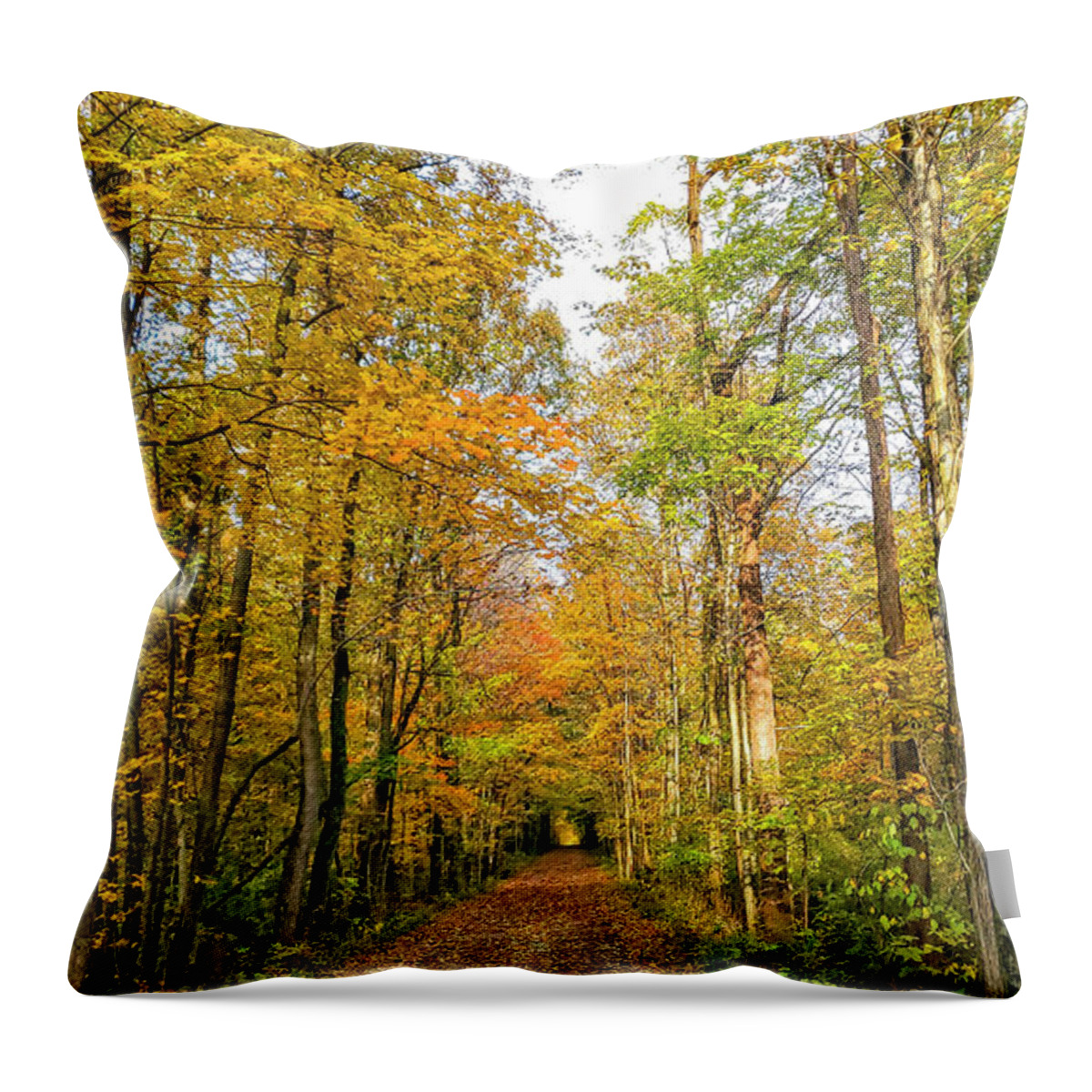 Autumn Throw Pillow featuring the photograph Autumn Trail by Chris Spencer