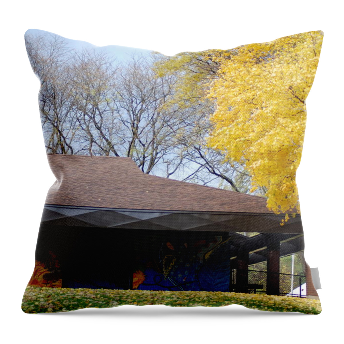  Throw Pillow featuring the photograph Autumn Transition 152 by Ee Photography