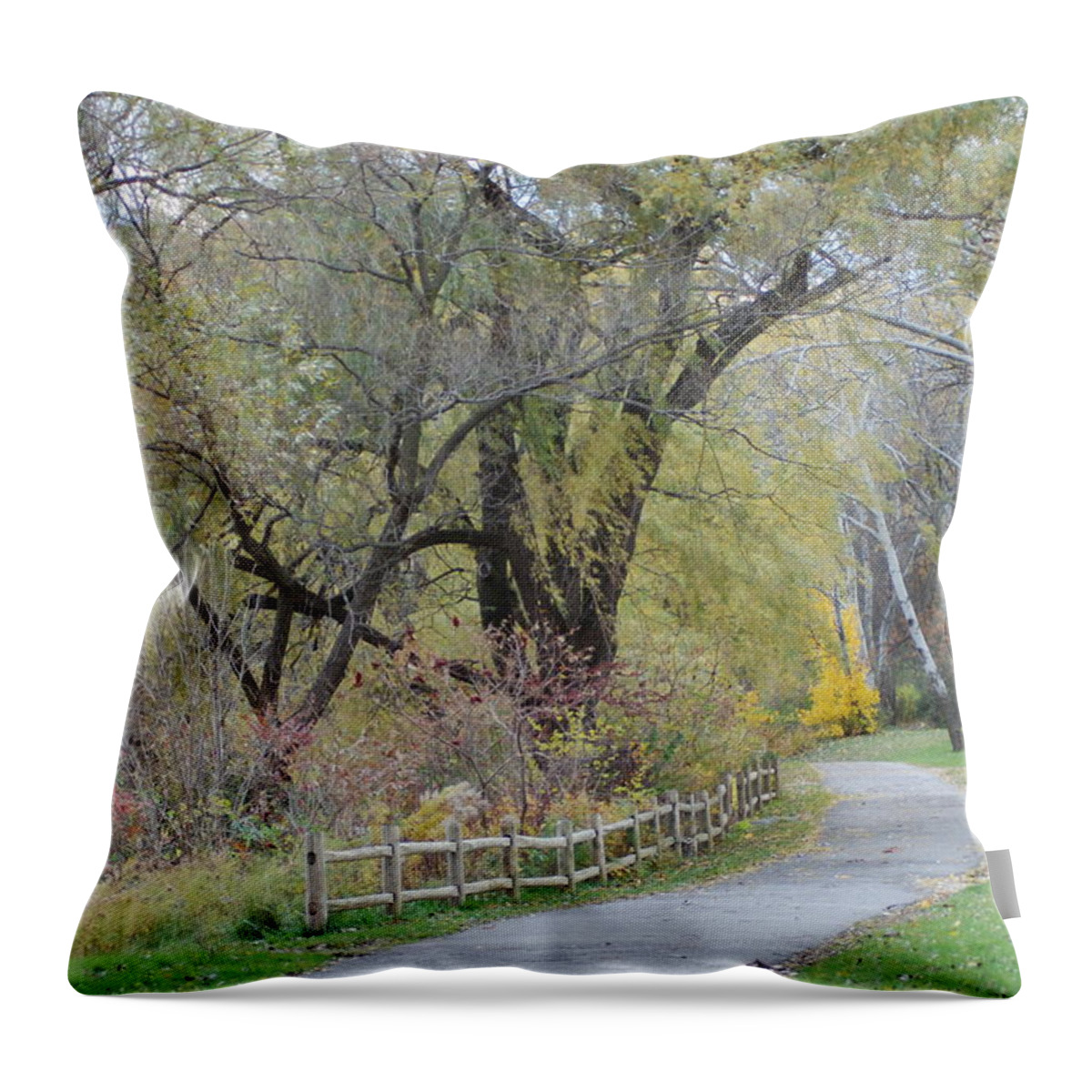  Throw Pillow featuring the photograph Autumn Transition 166 by Ee Photography