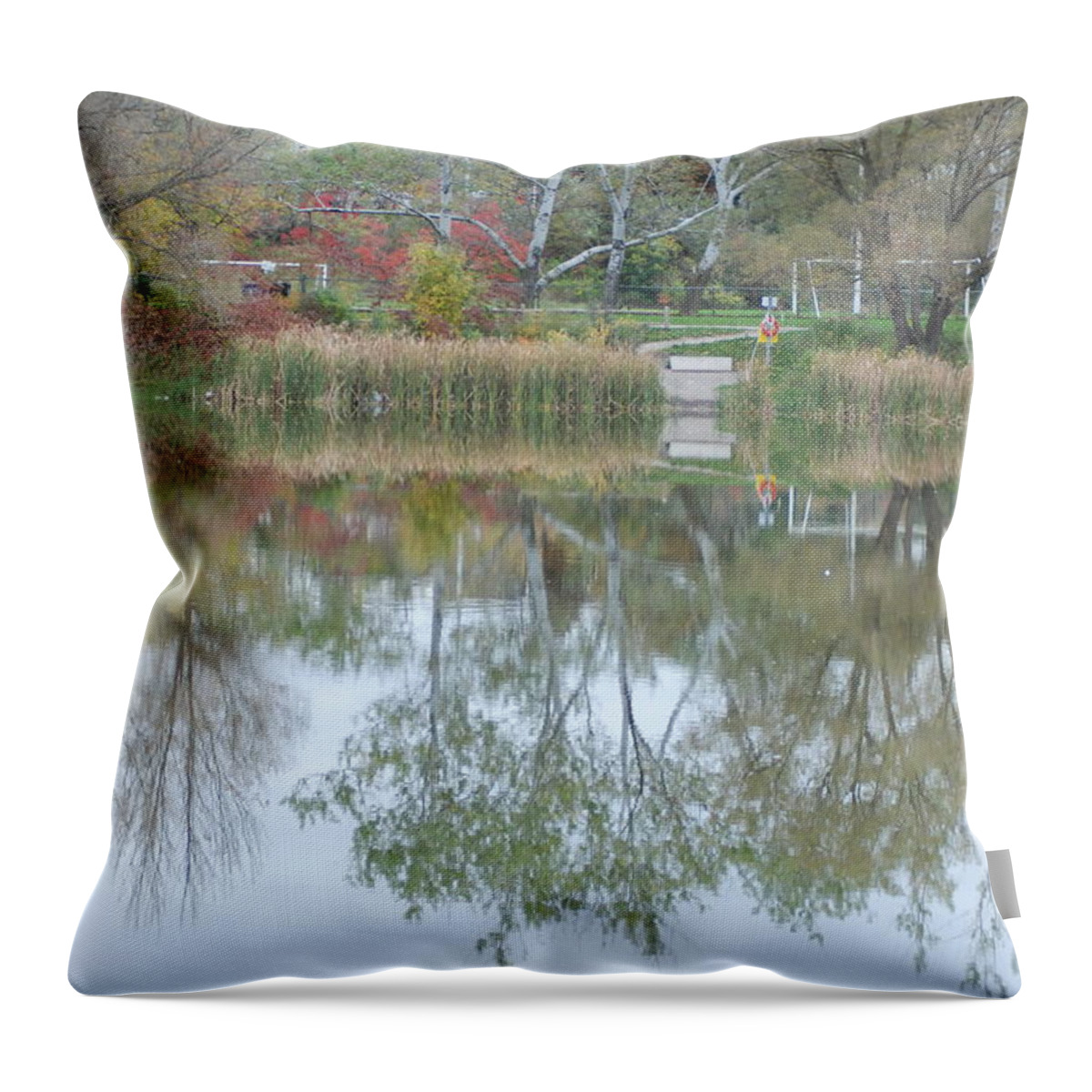  Throw Pillow featuring the photograph Autumn Transition 94 by Ee Photography