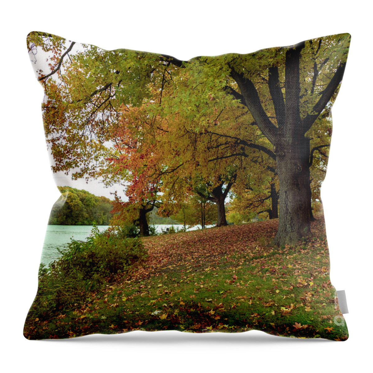 Autumn Throw Pillow featuring the photograph Autumn Trees by Sandra J's