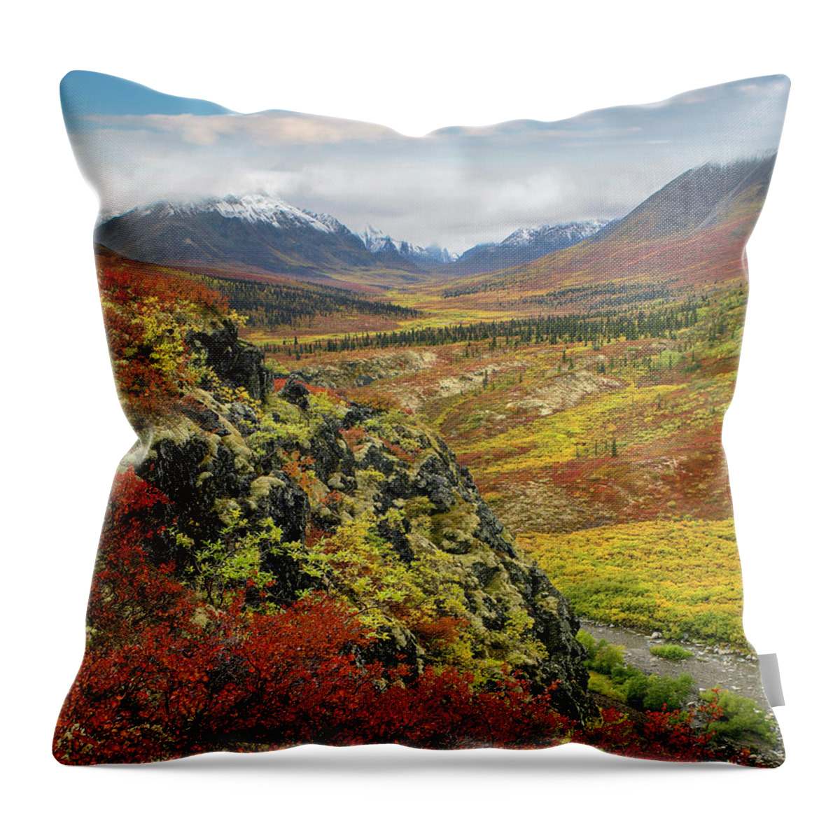 00586334 Throw Pillow featuring the photograph Autumn Tundra, Tombstone Range, Tombstone Territorial Park, Yukon by Tim Fitzharris