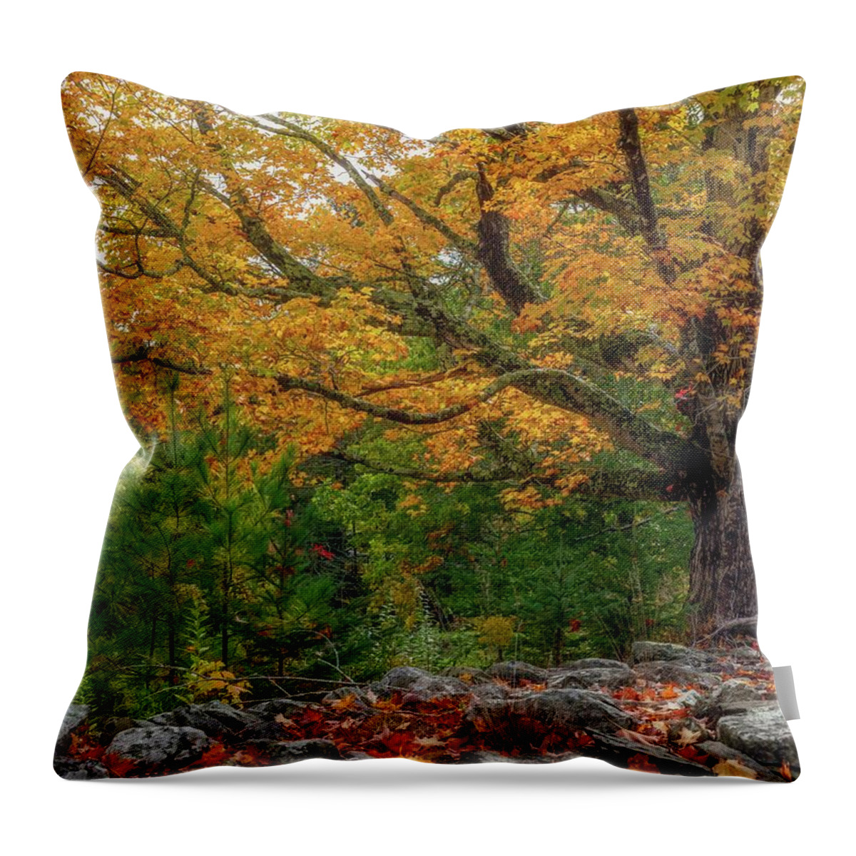 Autumn Throw Pillow featuring the photograph Autumn Wall by Karin Pinkham