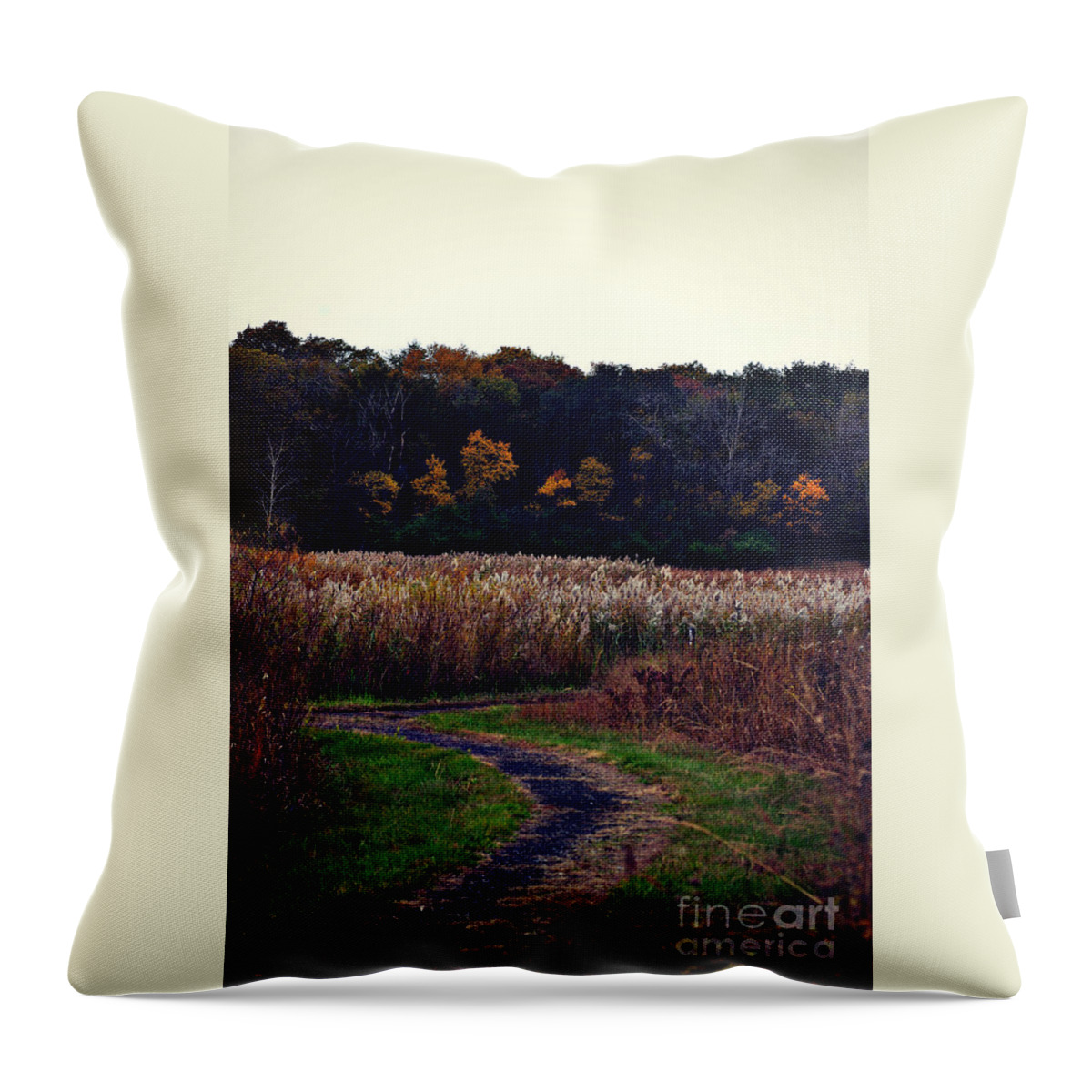 Landscape Throw Pillow featuring the photograph Autumn Wetlands by Frank J Casella