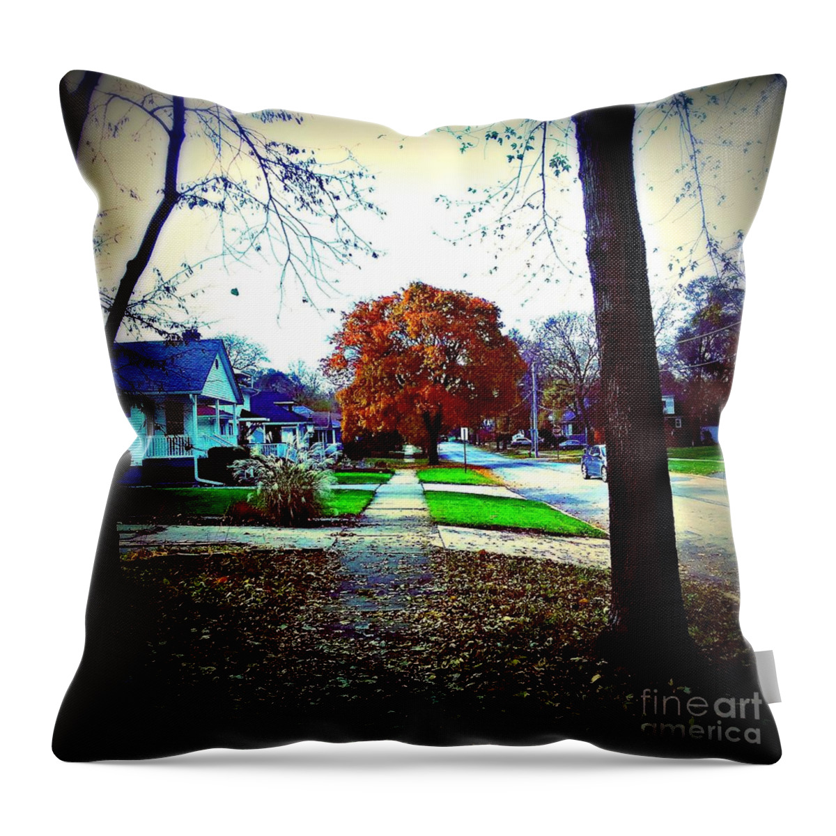 Nature Throw Pillow featuring the photograph Autumn Wonder by Frank J Casella