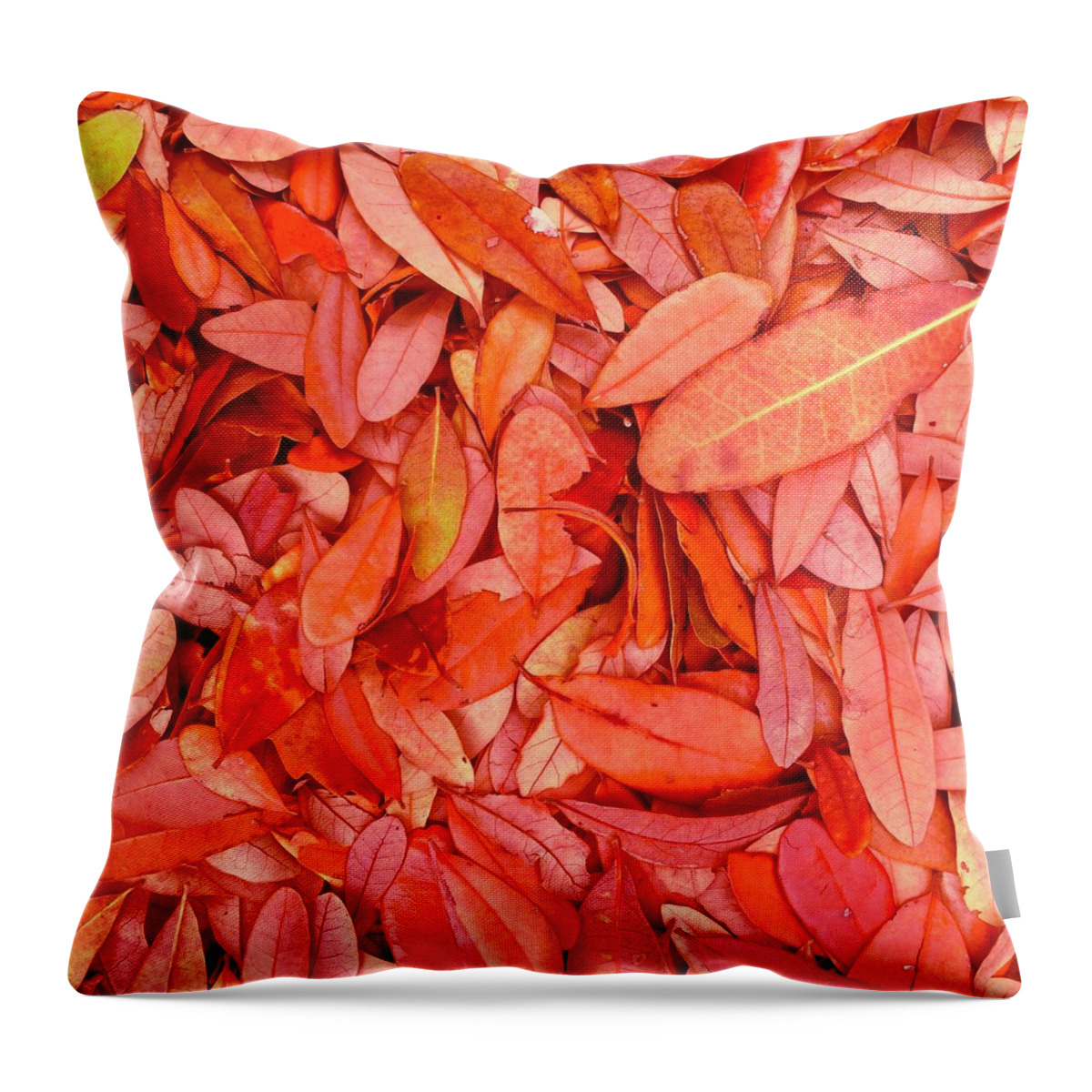 Leaves Throw Pillow featuring the photograph Autumn's Earth Blanket by Debra Grace Addison