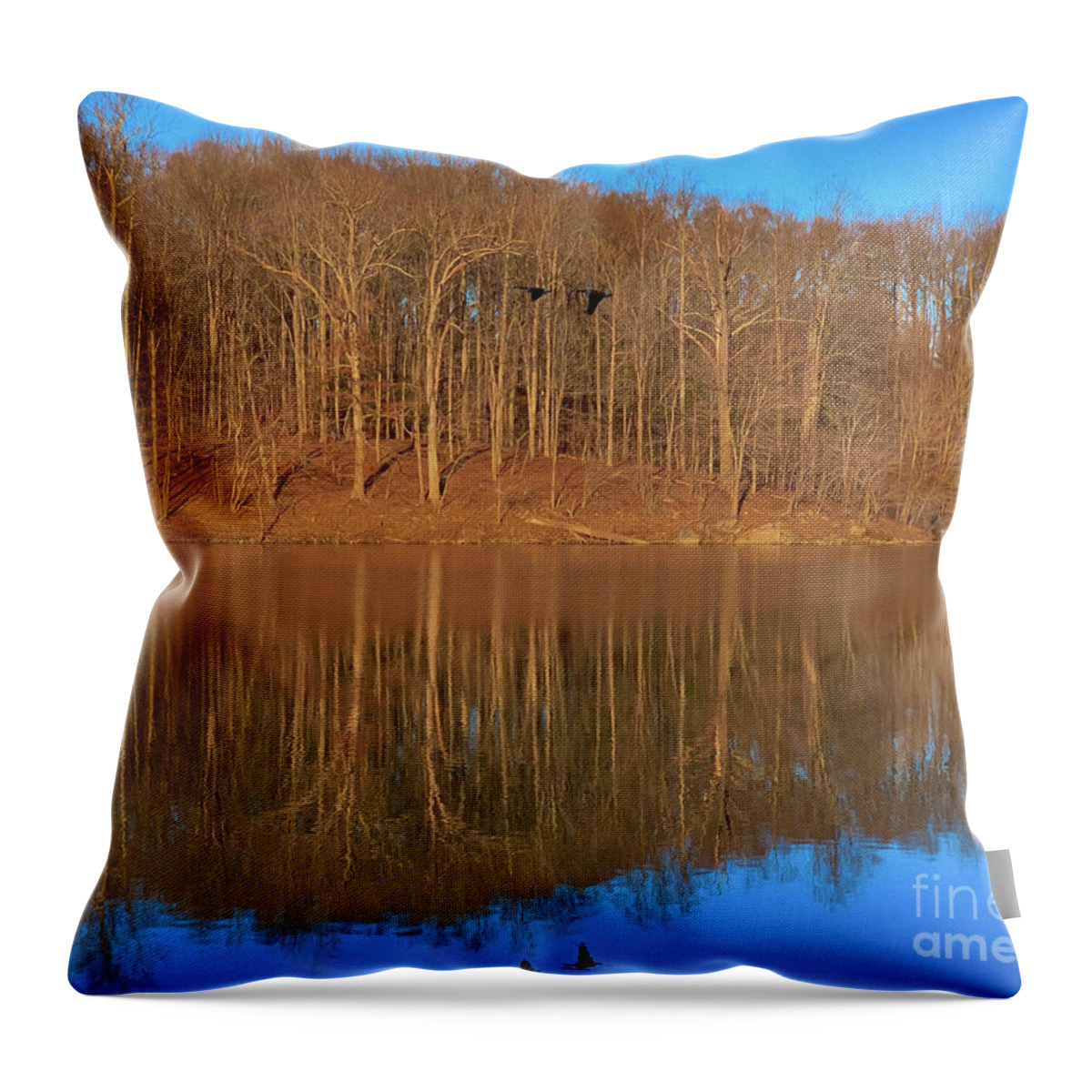 Landscape Throw Pillow featuring the photograph Awaiting spring by Izet Kapetanovic