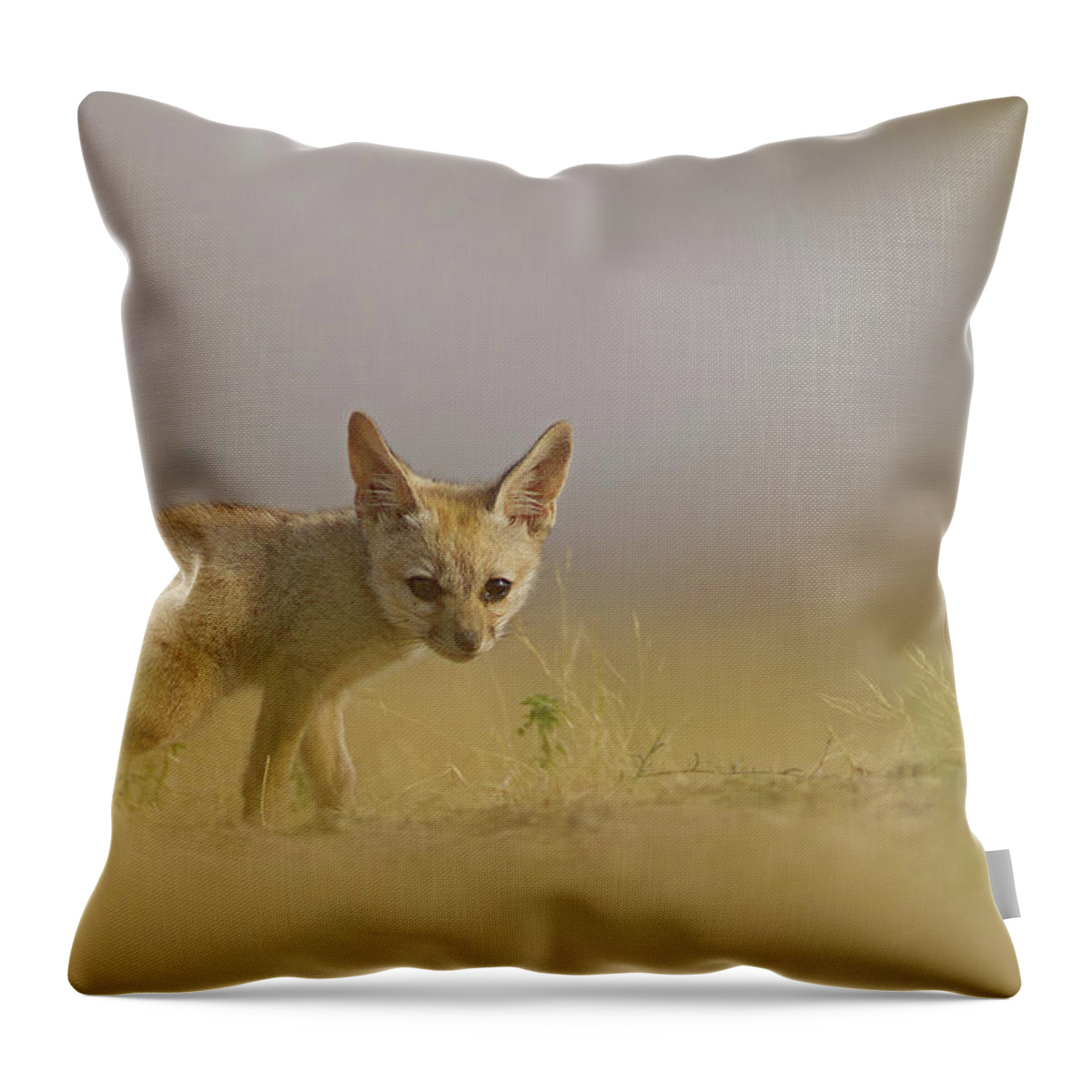Animal Themes Throw Pillow featuring the photograph Baby Fox by Santanu Nandy