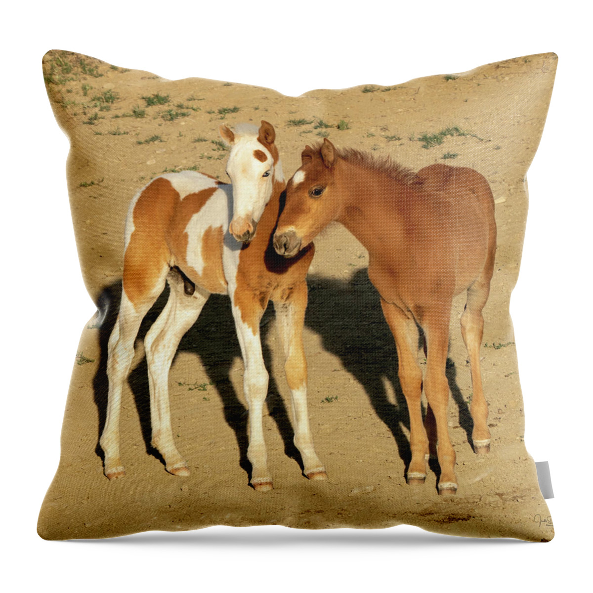 Baby Horses Throw Pillow featuring the photograph Baby Horse Pals -- Wild Mustangs by Judi Dressler