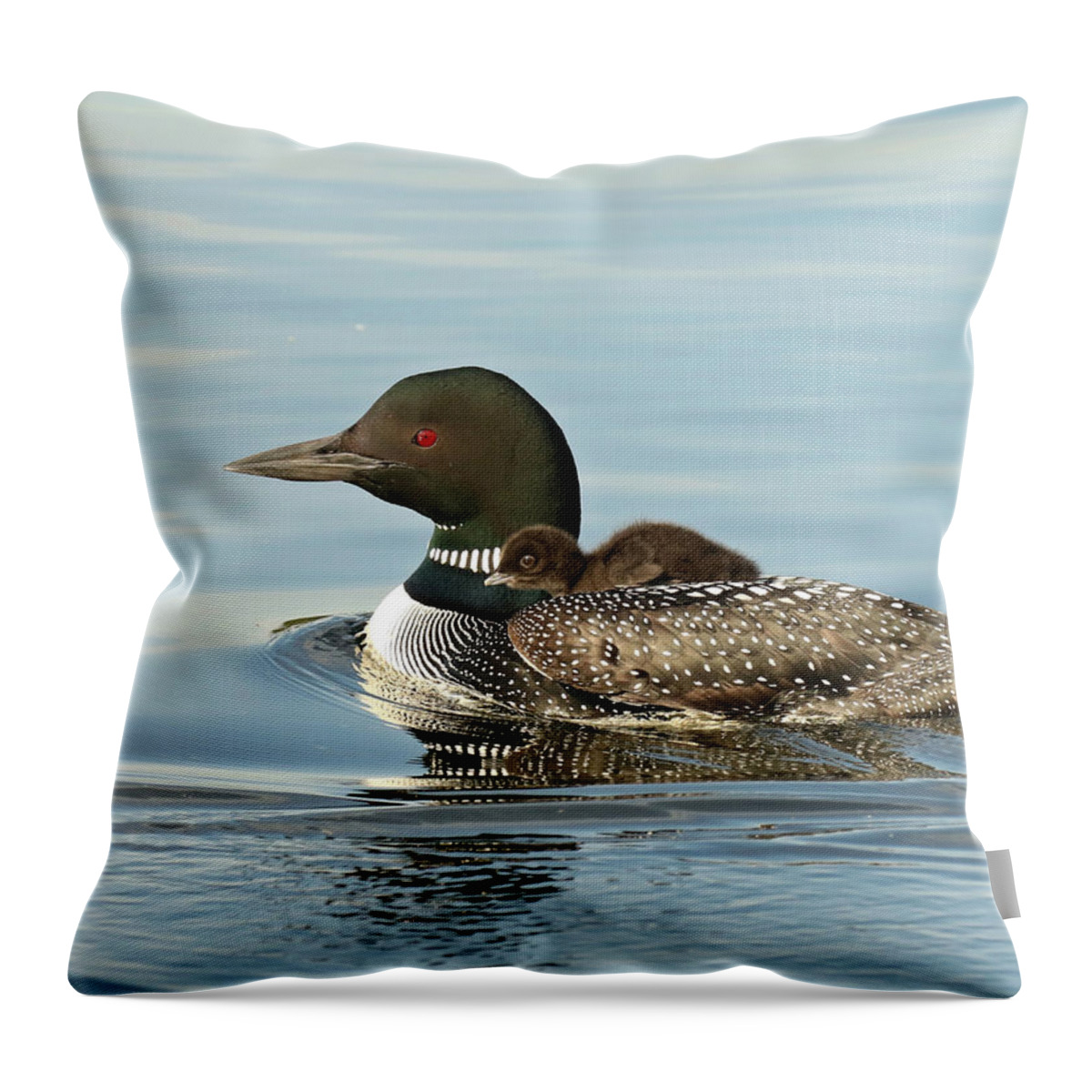 Loon Throw Pillow featuring the photograph Baby on Moms back by Heather King