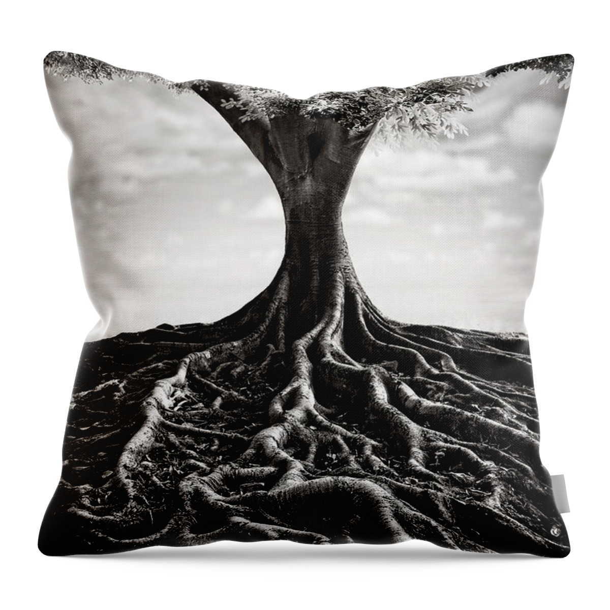 Kremsdorf Throw Pillow featuring the photograph Back To The Roots by Evelina Kremsdorf