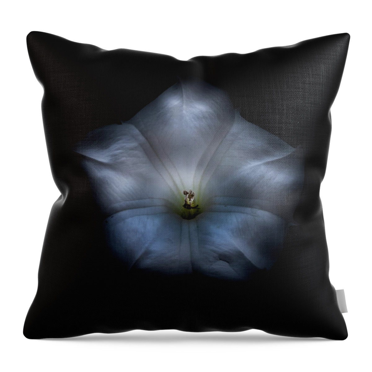 Brian Carson Throw Pillow featuring the photograph Backyard Flowers 24 Color Version by Brian Carson