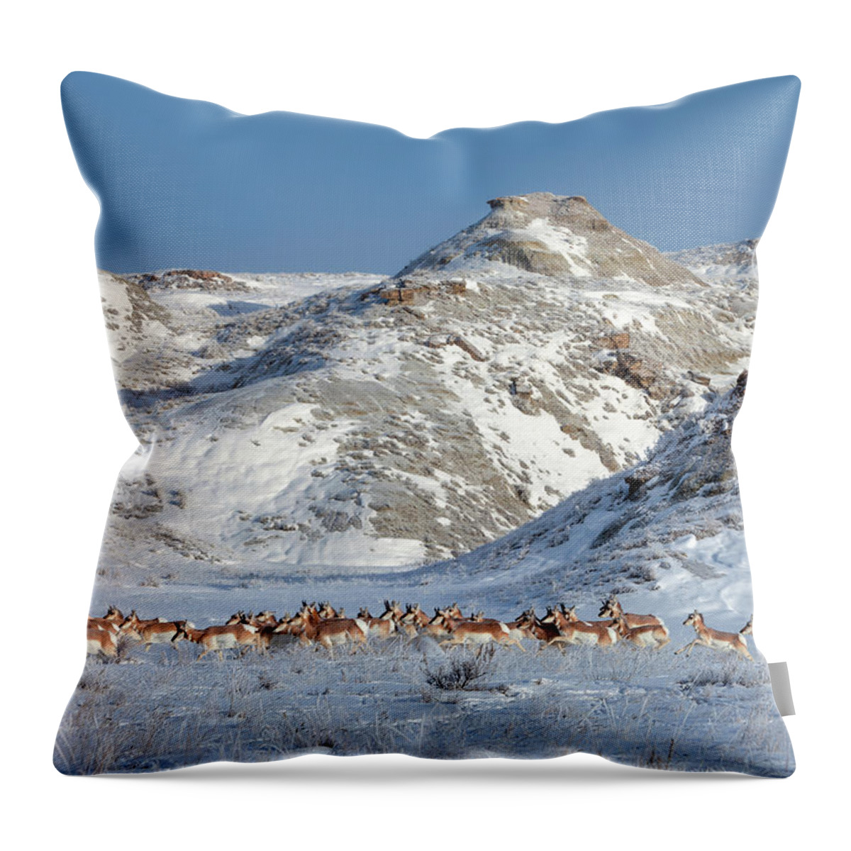 Badlands Throw Pillow featuring the photograph Badlands Antelope by Todd Klassy