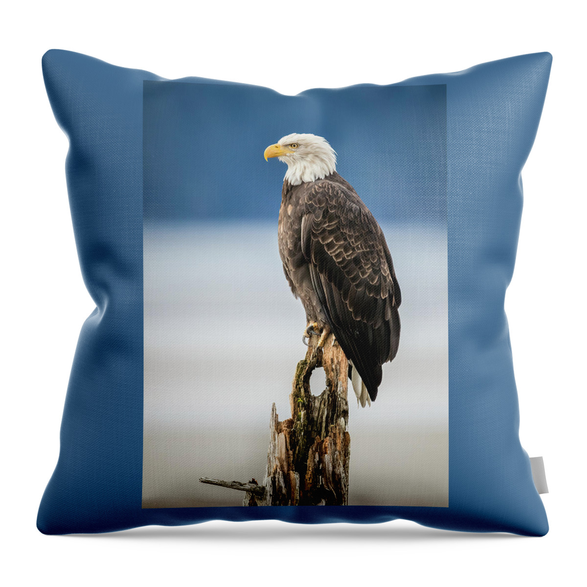 Alaska Throw Pillow featuring the photograph Bald Eagle on Snag by James Capo