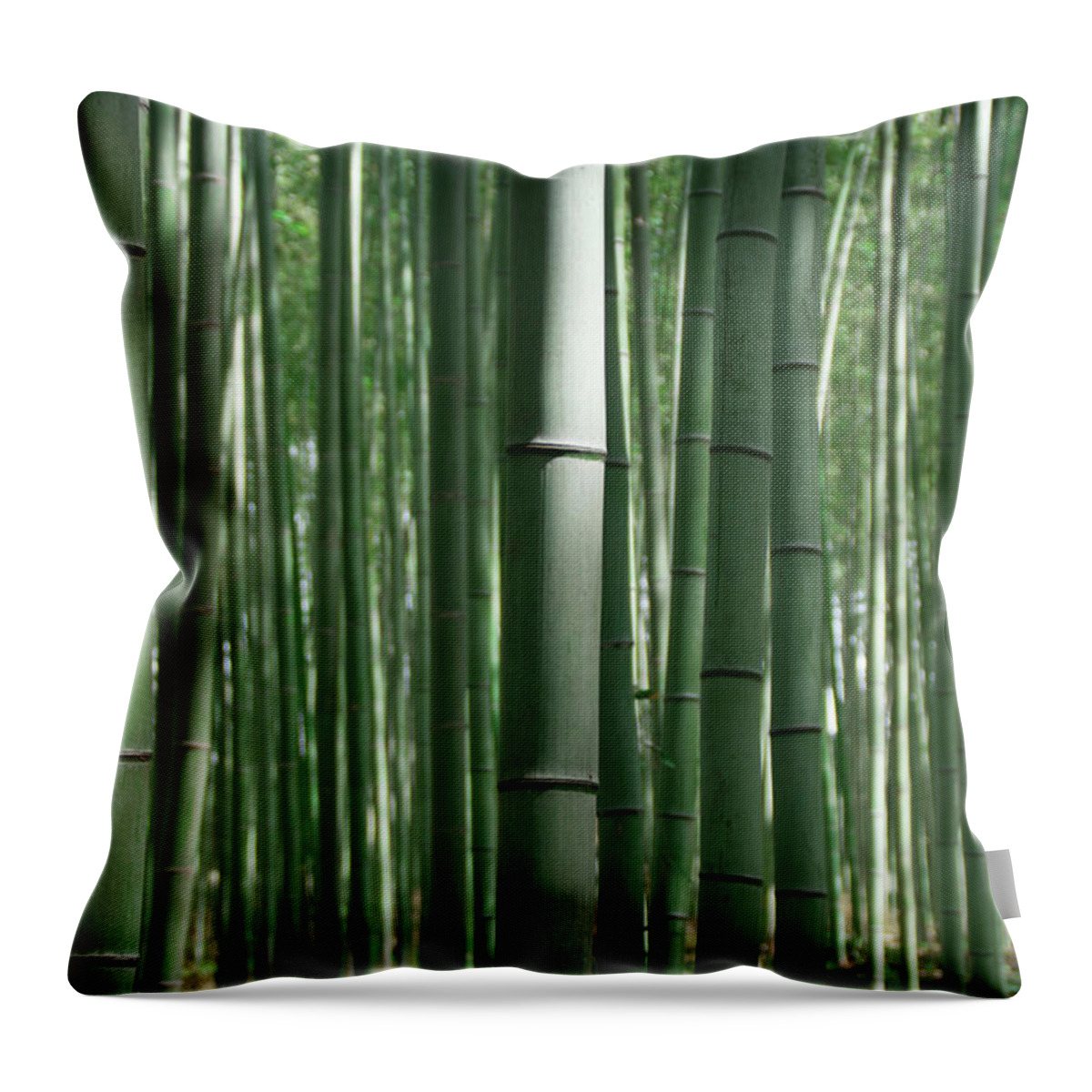 Bamboo Throw Pillow featuring the photograph Bambo by Amaia Benito