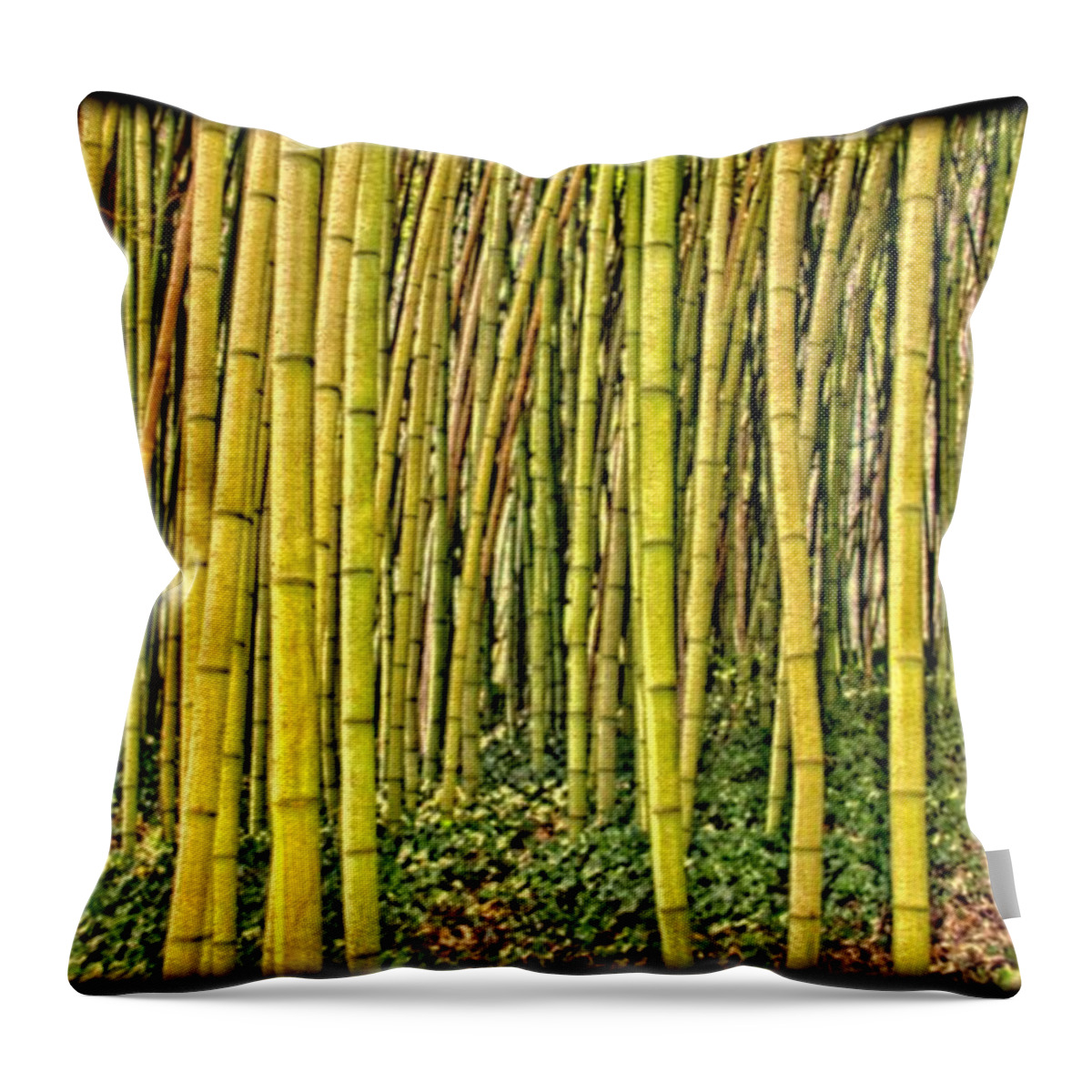 Bamboo Throw Pillow featuring the photograph Bamboo by Allen Nice-Webb