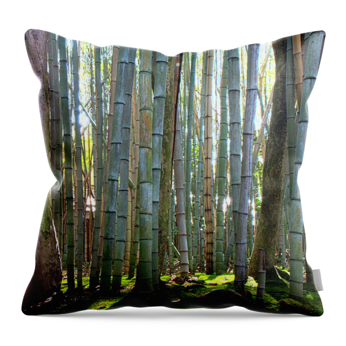 Japan Throw Pillow featuring the photograph Bamboo Forest by Gary Hughes